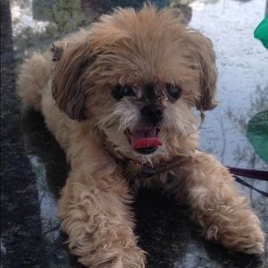 Meet your Posher, Dylan